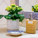 Nobre By The Portuguese Butler *